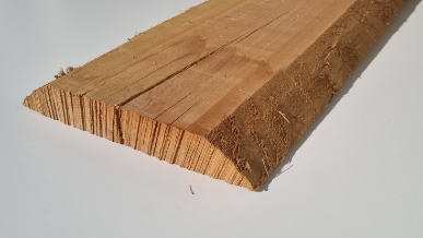 Stammware Buche